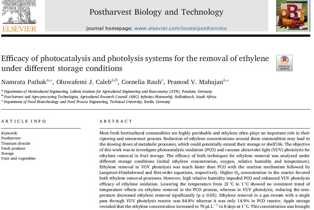 Photocatalysis efficiently removes ethylene and prolongs shelf life of fruits and vegetables